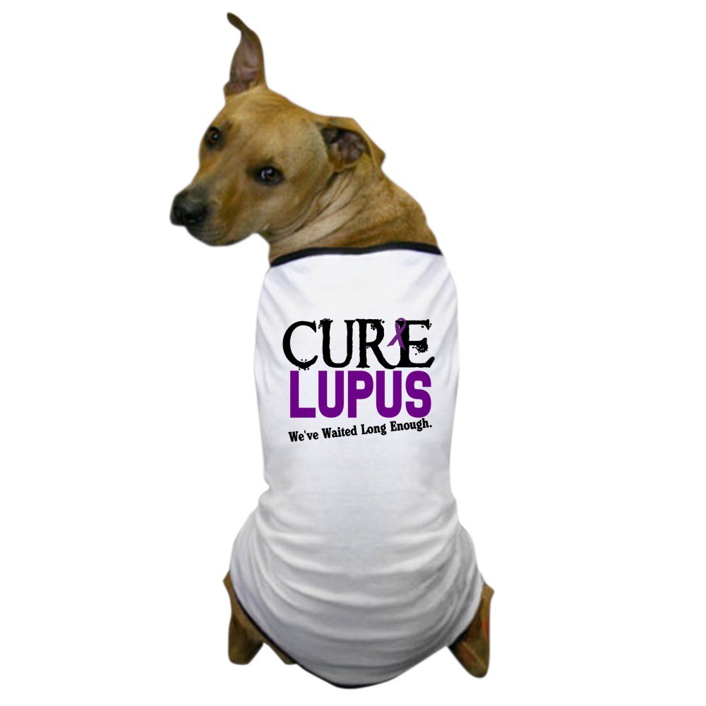 Is Lupus Curable In Dogs