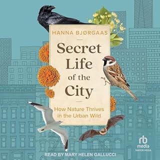 Secret Life of the City Audiolibro Por Hanna Hagen Bjørgaas, Matt Bagguley - translator arte de portada