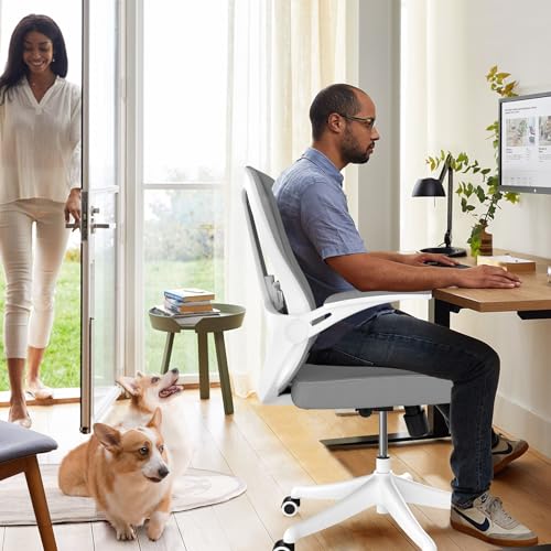Image of Comfy Office Chair, Adjustable Lumbar Support Desk Chair, Grey