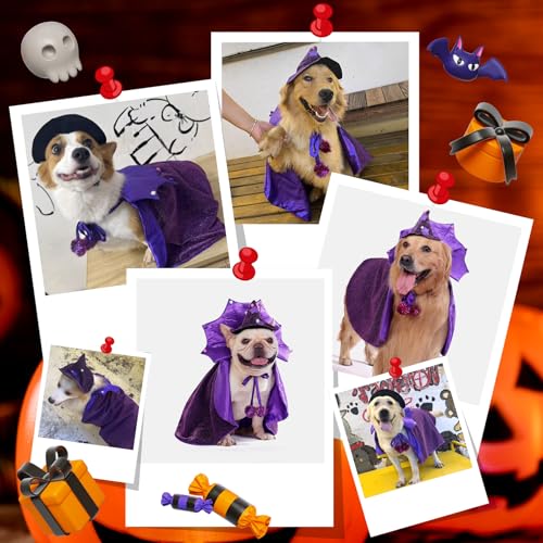 Disfraz de Bruja para Perro Pequeño Halloween Talla S miniatura 7