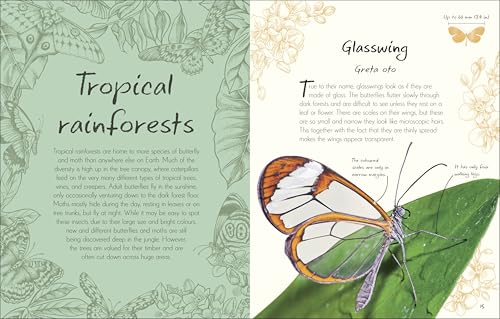 Image of An Anthology of Butterflies and Moths: A Collection of Butterflies and Moths from Around the World (DK Little Anthologies)