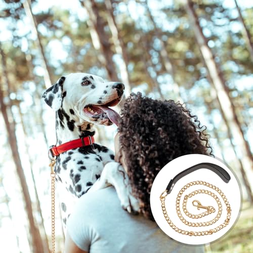 iplusmile Hundeleine Golden Metal, Goldenes Edelstahl Kettenhalsband, Goldkettenleine für große, Hunde Leine Chain mit Ledergriff Haustierleinenkette