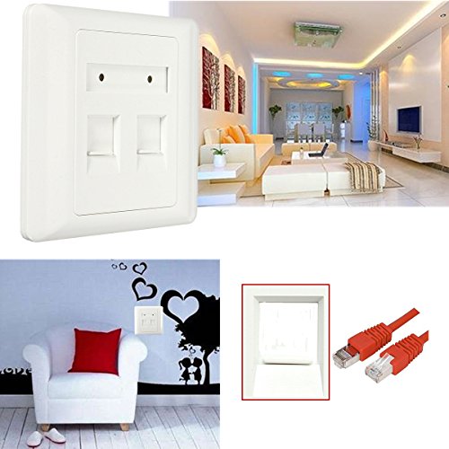 Panneau De Prise De Réseau D'Ethernet De Plat De Visage De Mur De Rj45 Cat6 avec 2 Ports