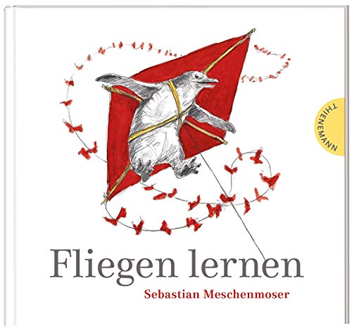 Preisvergleich Produktbild Fliegen lernen