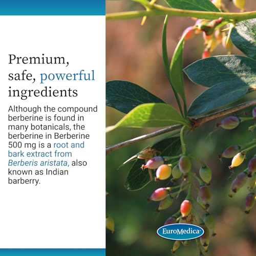 EuroMedica Berberine 500 mg - Brain & Liver Health Support Supplement - Dietary Supplement with Indian Barberry Root Extract - Vegan Capsules for Metabolic Health Support - 60 Capsules
