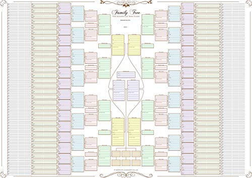 Family Tree Chart - 10 Generation Double Chart (Coloured Boxes 120 g Paper)