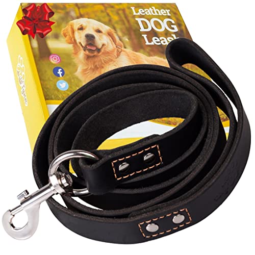 ADITYNA Leather Dog Leash 6ft