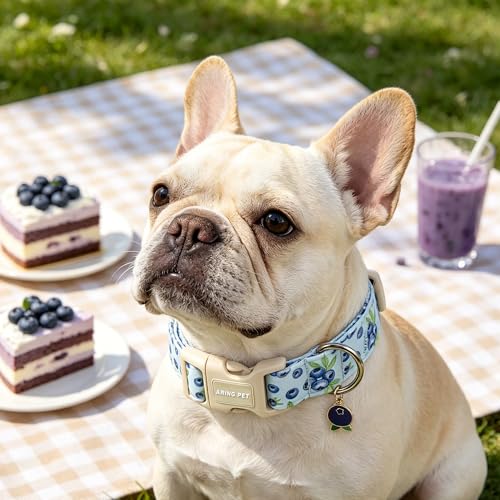 Image of ARING PET Summer Dog Collar for Puppy Small Medium Large Dog-Blueberry M