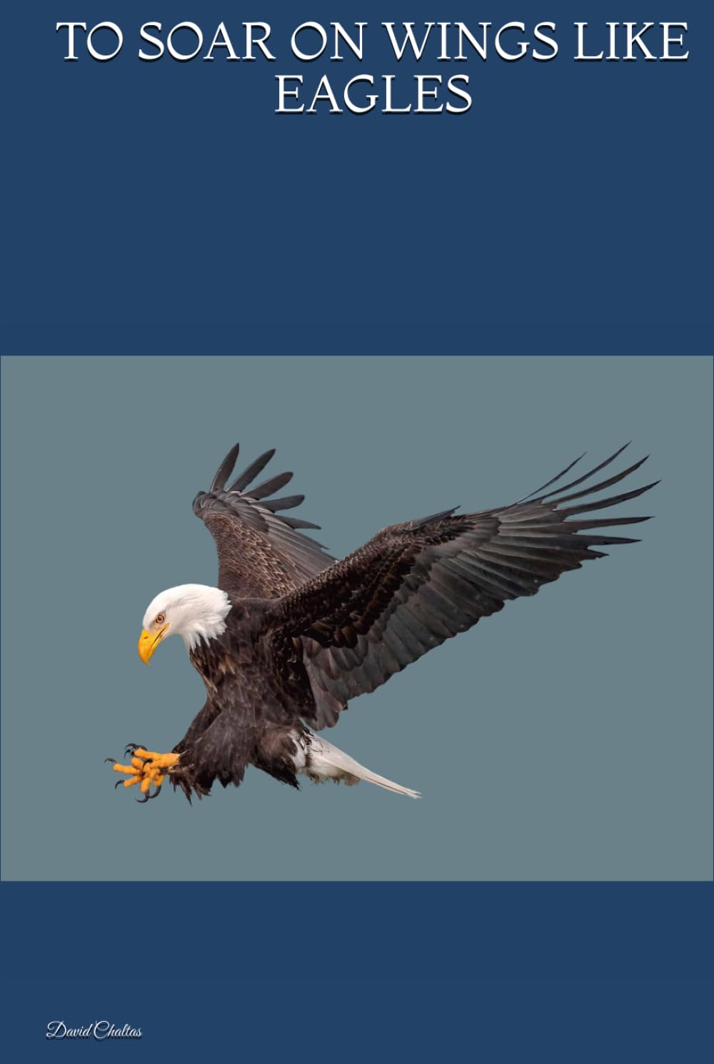 TO SOAR ON WINGS LIKE EAGLES