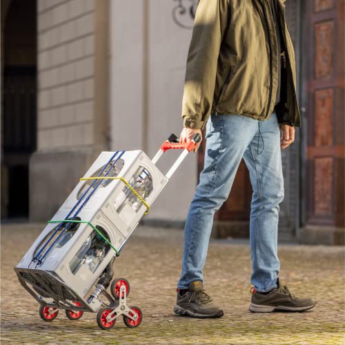 PRETEX Spanngurte mit Haken, 12-teiliges Set – mit Haken in 4 Längen – strapazierfähige, mehrfarbige Gepäckgurte