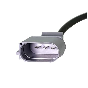 beetle 51qtx9q5qQL._UF350,350_QL80_.jpg