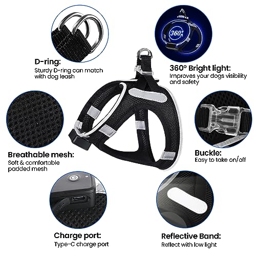 PcEoTllar Hundegeschirr Leuchtend, Leuchtgeschirr LED Aufladbar Reflektierendes, Beleuchtetes Leuchtgeschirr für Welpe Klein Mittlere Hund, Atmungsaktiv Leucht Geschirr, Schwarz(9 Modi), S