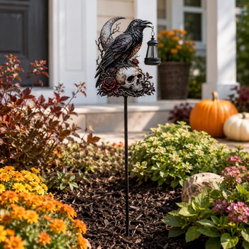 View 5
