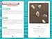 Seashells of the Jersey Shore: Identify and Learn about the Shells You Find on the Beach (Identify and Learn About Seashells: Handy User Guides with Photos, 1)