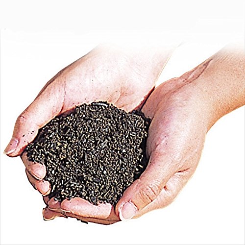 ؉ yǍ X[p[~NS[h 12L 1