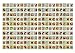 Set of 200 Assorted Valley Green Flower Seed Packets! Flower Seeds in Bulk - 20+ Varieties Available!