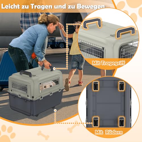 Froadp Transportbox für Haustiere Hund Katze Hundebox aus PP Kunststoff 67x51x58.5cm Katzentransportbox Hundetransportbox mit Rädern & Urinabstandshalter & Hängende Fressnäpfe Katzenbox