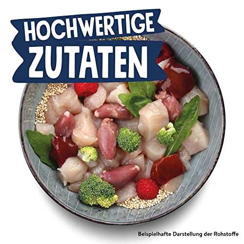 Pets Deli Mini Hunde Nassfutter Huhn, Quinoa, Brokkoli, für kleine, wählerische Rassen, leicht verdaulich, getreidefrei, ohne Zucker, 16x100 g, Premium Qualität