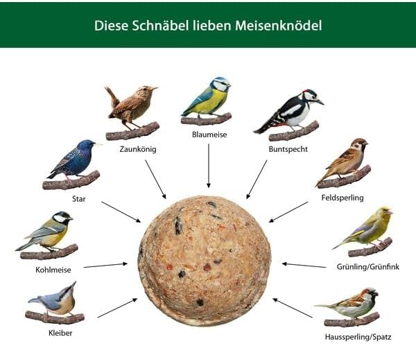 Dehner Natura Premium Palline Di Mangime Per Uccelli Selvatici - 21 Pezzi, 5,25 Kg, Con Sego - Foto 4