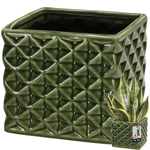 KOTARBAU® Blumentopf Keramik glasiert Quadratisch Grün 14 x 14 cm H 13 cm Übertöpfe für Zimmerpflanzen Orchideen & Sukkulenten Topf Pflanzen Töpfe Blumen Übertopf Blumentopf viereckig Piano Kollektion