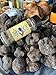 Truffle Dust® Seasoning, Truffle & Mushrooms Powder Seasoning, Truffle Gourmet Food Condiments Vegan and Vegetarian Friendly (Black Truffle, 2.47oz (70g))