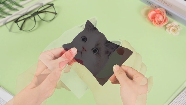 Imanes Decorativos de Gato Paquete x12 miniatura 7