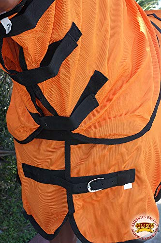 Hilason 69 Inches Horse Ultra Violet Rays Protect Mesh Bug Mosquito Horse Fly Sheet Summer Spring | Fly Sheet | Horse Turnout Sheet | Fly Sheet For Horses | Bug And Mosquito Protection | Fly Sheet For #TOP4