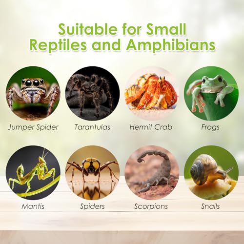 Apatal KA012 Acrylic Reptile Terrarium Enclosure 9.8 Inch X 5.9 Inch X 5.9 Inch Magnetic Tarantula Breeding Box Transparent Insect Habitat thumb #7