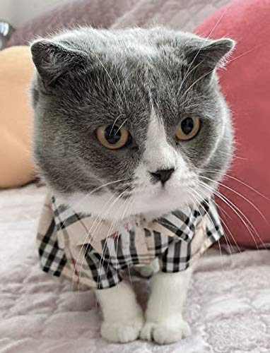 Furberry Medium Dog Plaid Shirt Polo Shirts Dog Tee Shirts for Small Dogs Boy, Large