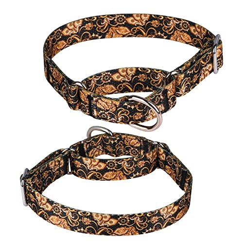 haoyueer Heavy Duty Nylon Adjustable Martingale Dog Collar for Walking Training Boy and Girl Dogs (L:45-53CM, Gold)