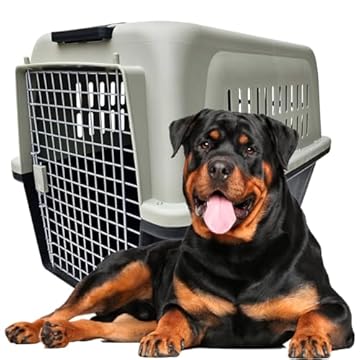 Caixa plástica Transporte Cães grandes gigantes Nº5