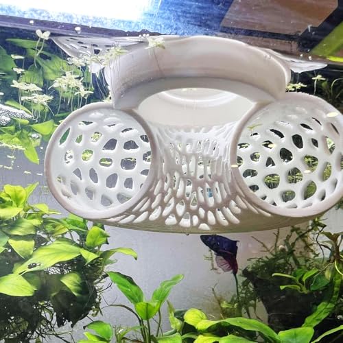 Image of Floating Betta Tunnel for Betta Training. Interactive Training & Enrichment Toy for Betta Fish - Stress Relief & Exercise Accessory, Floating Betta Fish Toys