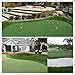Conscience Trading Golf Putting Green Turf (0.47