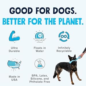 West Paw Zogoflex Echo Zwig Squeezy Dog Fetching Stick – Bouncy, Hollow, Squishy Interactive Toy for Puppies, Large Dogs – Floatable Stick, Lightweight Chewy Toy for Catch/Fetch – 13.75”, Jungle Green West Paw Zogoflex Echo Zwig Squeezy Dog Fetching Stick–Bouncy Hollow Squishy Interactive Toy for Puppies Large Dogs–Floatable Stick Lightweight Chewy Toy for CatchFetch–1375 Jungle Green