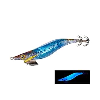 51quXCoZSEL._UF350,350_QL50_.jpg