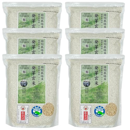 茺 _Ew엿͔| _RVqJuIv 2kg×6  ߘa7NY ^pbN āEHӒmF