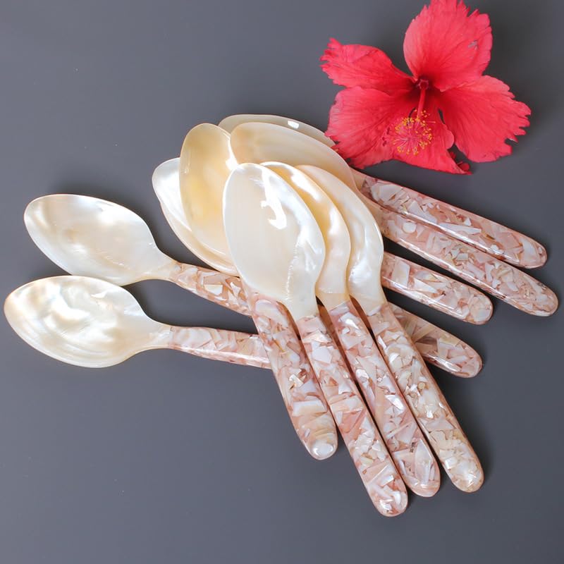 Lagnlnaoy 6.3 inch/4pcs Natural Shell Spoon Long Handle Vietnamese Pearl Shell Spoon Caviar Sauce Teaspoons Coffee Spoons