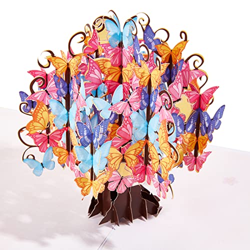 AMIJOUX 3D Carte de Vœux, Signature Paper Wonder Pop Up Card for College High School Félicitations, Bouquet de Papier Papillon Cartes de Vœux Pop-Up pour la Journée des Infirmières des Enseignants Cover