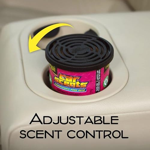 Car Air Freshener, Assorted Canisters #TOP3