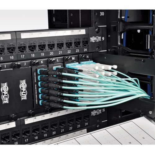 Amazon.com: Tripp Lite MTP / MPO Patch Cable 12 Fiber,40GbE
