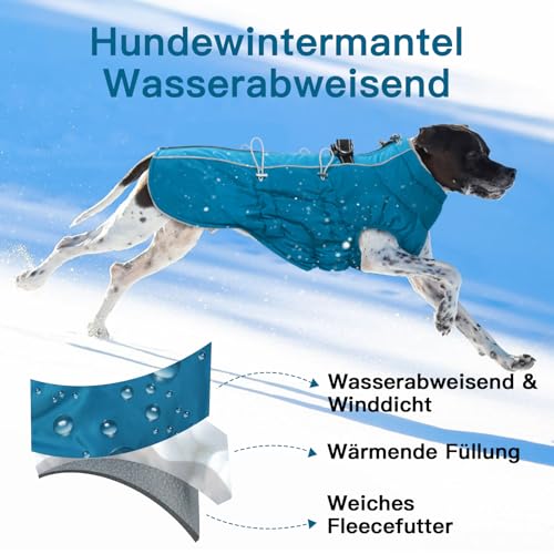 Katzinst Hunde Wintermantel Wasserbeständig, Verstellbarer Halsausschnitt, Hundemantel mit Geschirr und Durch Verstellbare Gummizüge, Hundebekleidung für Mittlere Hunde, Cocker Spaniel, Grün, M