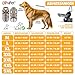 LOVPET® Hundejacke Hundemantel mit Geschirr, inkl. 45 Stück Kotbeutel + Spender, Hunde Winterweste gefüttert wasserdicht, Gepolsterte Weste Mit Brustgurt, Reflektoren, D-Ring XL, Beige