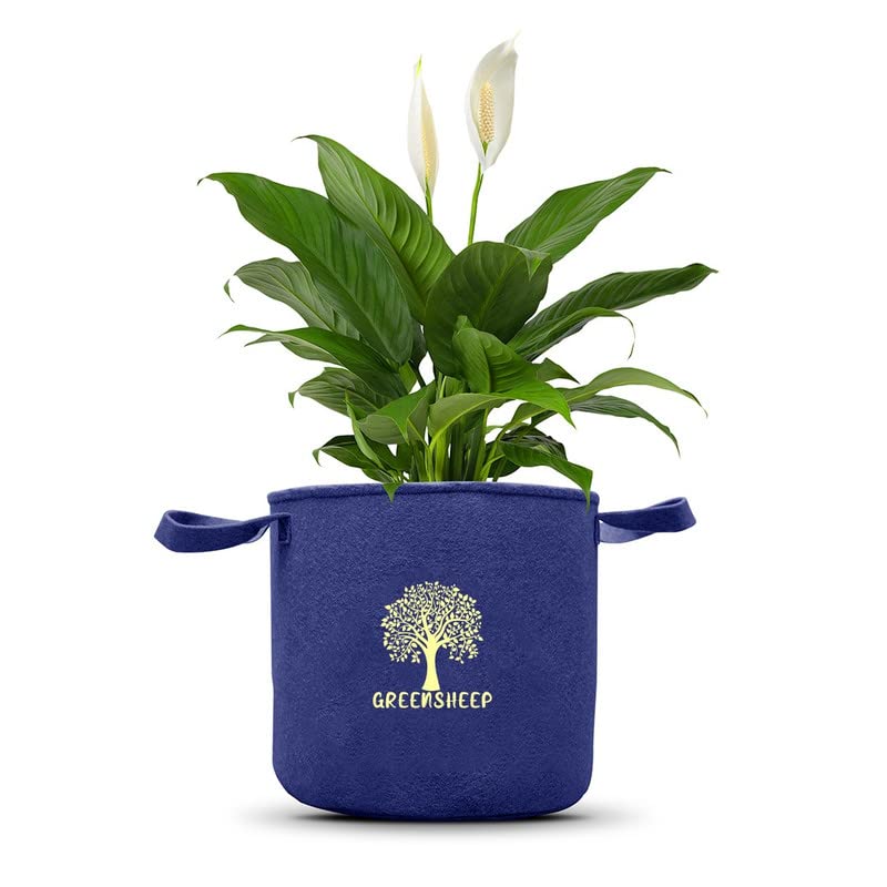 Image of GREENSHEEP Geo Fabric Grow Bags for Terrace Gardening, Balcony,Plants, Fruits and Flower with Handles-Breathable and Reusable Plant Bags for Indoor (Dark Grey) (Pack of 3) (Size-12x12)