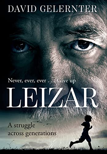 Leizar view 2