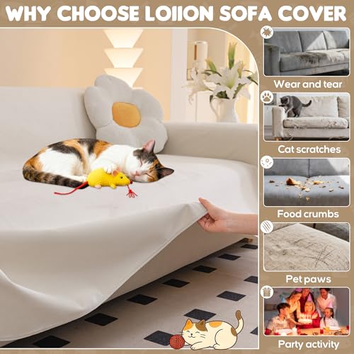 Protection canape chat anti griffe pour salon familial chaleureux