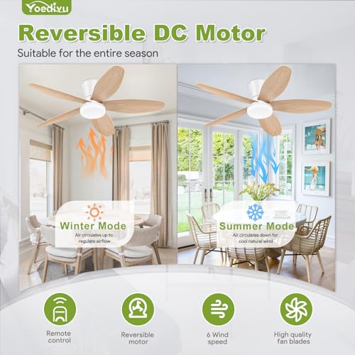 Image of Ceiling Fans with Lights - 42 Inch White&Wood Flush Mount Ceiling Fan 6-Speed Wind, Quiet Reversible DC Motor, 3 Color Dimmable Lighting, Small Low Profile Ceiling Fans for Living Room /Bedroom