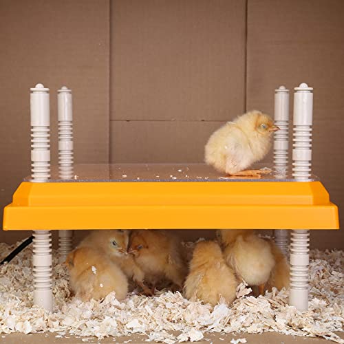 Pitalok F313 Brooder Heater For Chicks: Chick Brooder Heating Plate thumb #6