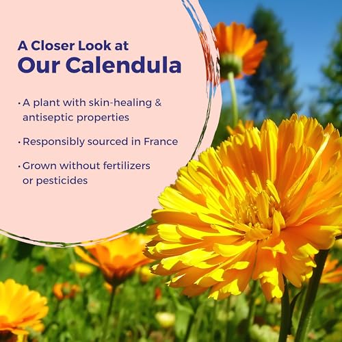 Boiron Calendula Ointment for Relief from Minor Burns, Cuts, Scrapes, and Insect Bites - 1 Oz - image 6