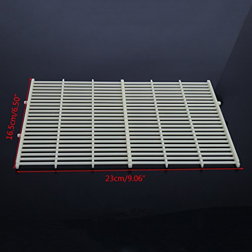 MB-LANHUA Attrezzatura per Apicoltura ， Apicoltura...