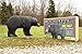 Shooter 3D Archery Bear Target, Black, One Size